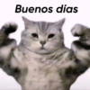 Buenos días
@bendiciones diariass