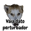 Perritos 11