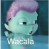 Bibble Frasesitas 9