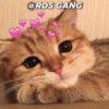 Posts apaixonados @rds_gang 14