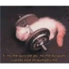 Solo gatos 22
