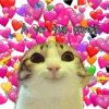 Corazones amor hearts 26