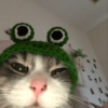 00