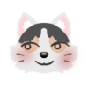 Pack de gatita graciosa 2 16