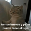 tantos huevos y yo no
puedo tener el tuyo