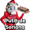 Burrita Burrona 29