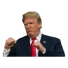 Trumph 11