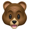 Bear memoji 9