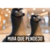 Memes para contestar 5 17