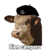 Cabaña Don Luis 12