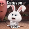 Mi Bebito Fiu Fiu 7