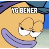 YG BENER