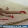 VAIDADE: GALINHA TEM AS UNHAS PINTADAS