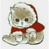 Gatitos <33 8