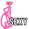 PINK PANTHER 14