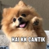 HAI KK CANTIK