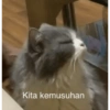 Kita kemusuhan