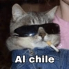 MASCOTAS @joshuacaprii 11