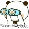 Where Is My Babu