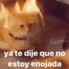 @memasting
ya te dije que no
estoy enojada