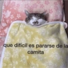 que difícil es pararse de la
camita