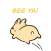 Spidi the bunny 19