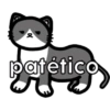 Pack de gatitos 16