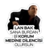 Özgürabimiz 17