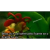 Indireta 23
