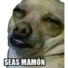 Memes es 11