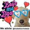 StickerAdoption  36