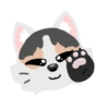 Pack de gatita graciosa 2 11