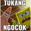 Patrick 15