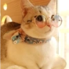 Solo gatos 23