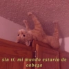 sin tí, mi mundo estaría de
cabeza