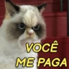 Memes and deboche 12