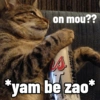 Meow Pi Miew 8
