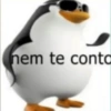 MEMES ALEATÓRIOS 11