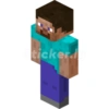 Minecraft 8