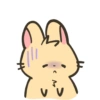 Spidi the bunny 23