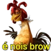 JOÃO FRANGO MEMES 16
