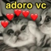 adoro vc