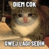 DIEM COK
GWEJ LAGI SEDIH