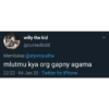 Willy_1 16