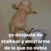 @memasting
yo después de
stalkear y enterarme
de lo que no debía
