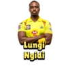 Chennai Super Kings (IPL) 11