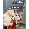 ENFERMERBROS🧑🏻‍⚕️🐱🐒 12