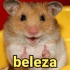 beleza