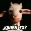 😂 MEMES DIVERTIDOS 😎 3 13