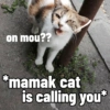 Meow Pi Miew 10